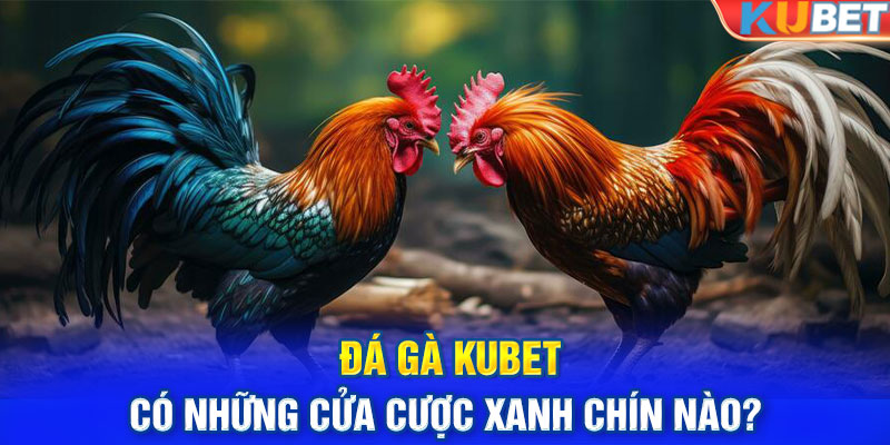 Đá gà KUBET có những cửa cược xanh chín nào?